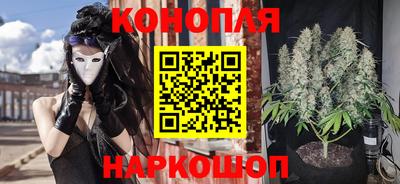 бошки Новозыбков