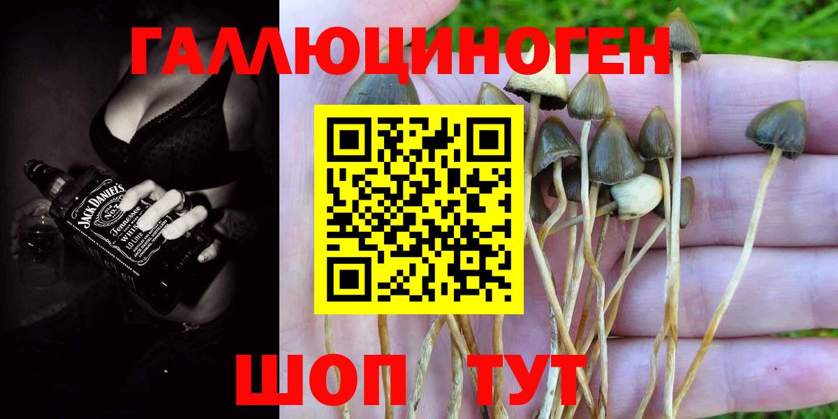 Псилоцибиновые грибы GOLDEN TEACHER Сарапул