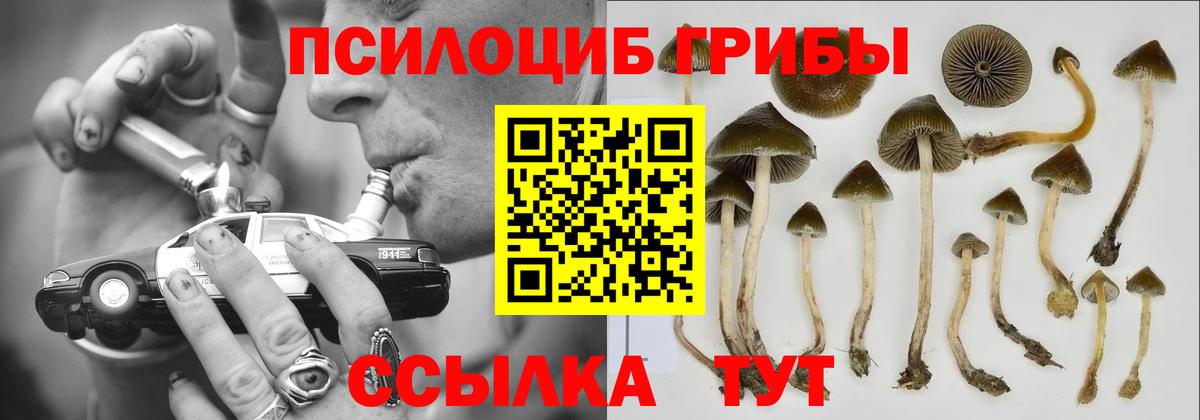 Галлюциногенные грибы мицелий  Вход с VPN  Сарапул 